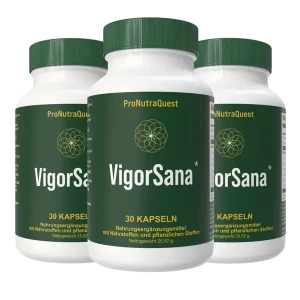 VigorSana Kapseln